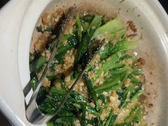 -三强鸽子(中原路店)