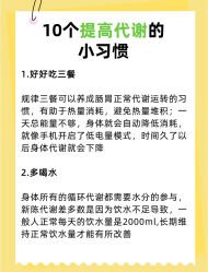 -Fundi张玉珊修身堂·indiba·BTL科技瘦身
