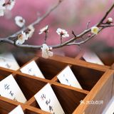 春日暖阳里🍵来一份低糖中式下午茶