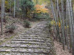 -仙霞关景区