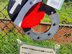 -钏路市丹顶鹤自然公园