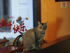 -猫岛主趣味餐厅(鼓浪屿店)