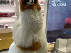 -国药中服免税(北京坊店)