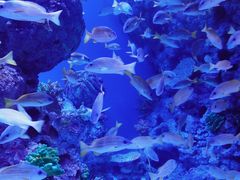 -成都浩海立方海洋公园