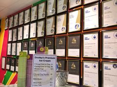 -Dooley's Premium Ice Cream