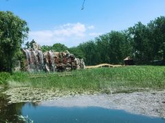 -微山湖红荷湿地景区