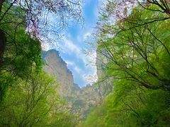 -云台山风景名胜区