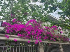 -四川大学博物馆