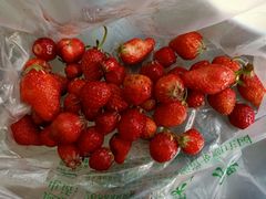 -万源龙顺度假庄园生态观光园