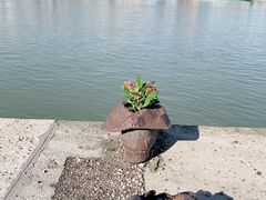 -多瑙河畔鞋履雕塑