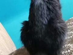 -万达广场(泰安泰山店)