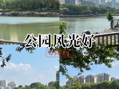 -光明港公园