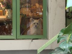 -绿房子方寸咖啡(星海名城店)