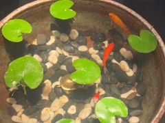 -曲水兰亭(北京四惠店)