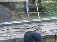 -泉州海丝野生动物世界