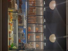 -老梦面包CHEZMOREL(麦子店)