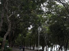 -凤岗南门山森林公园