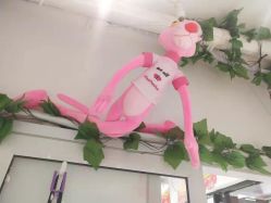 -东方美妍小鹏造型