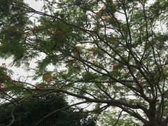 -立新湖公园
