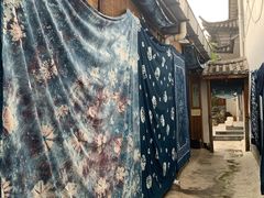 -璞真扎染博物馆