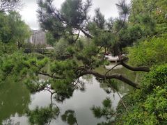 -上海醉白池公园