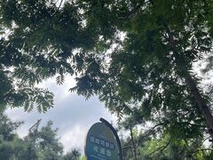 -西湖游船