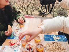 -香雪海