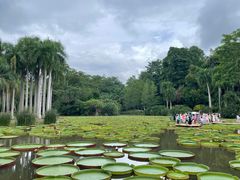 -中国科学院西双版纳热带植物园