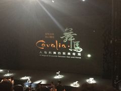 -cavalia·舞马