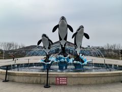 -石家庄极地海洋世界