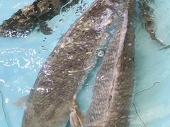 -大东海海鲜酒楼(渔人码头总店)