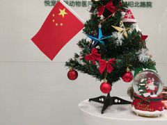 -悦宠凯宝动物医院·牙科·皮肤科(朝阳北路店)