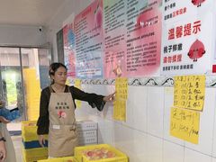 -老袁家蜜桃农场·阳山水蜜桃