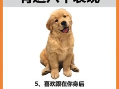 -唐小姐の猫狗洗护·购宠旗舰店(周浦万达店)