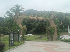 -梅岭月亮湾山体公园