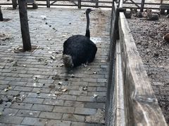 -北京鹿世界主题园