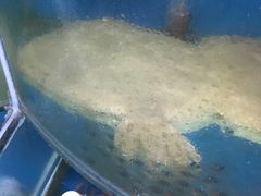 -晓伟海鲜家常菜