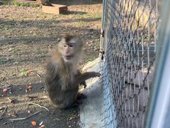 -哈尔滨北方森林动物园