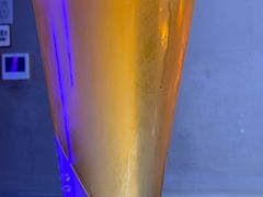 -沈胖子音乐烤吧·炒菜·龙虾(环城东路店)