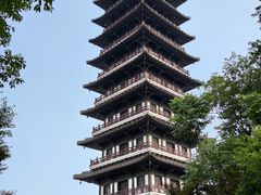 -宜兴龙背山森林公园