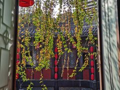 -三顾园(锦里店)