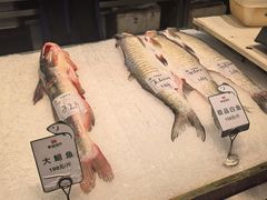 -春盛渔府(牛首山店)