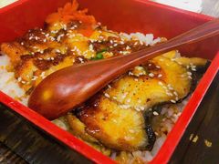 -白石的深夜食堂(大上海店)