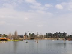 -白鹭湾湿地公园