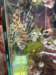 点击看大图 -Zoolung Zoolung动物主题公园(海信广场店)