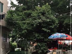 -小洲村
