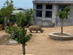 -西霞口神雕山野生动物世界