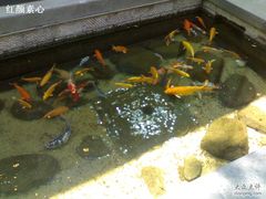 -泉乐坊步行街(烟酒特产平价超市店)