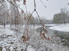 -大兴滨河森林公园