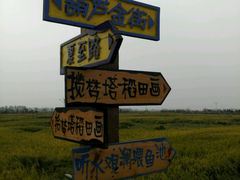 android_upload_pic-稻梦空间